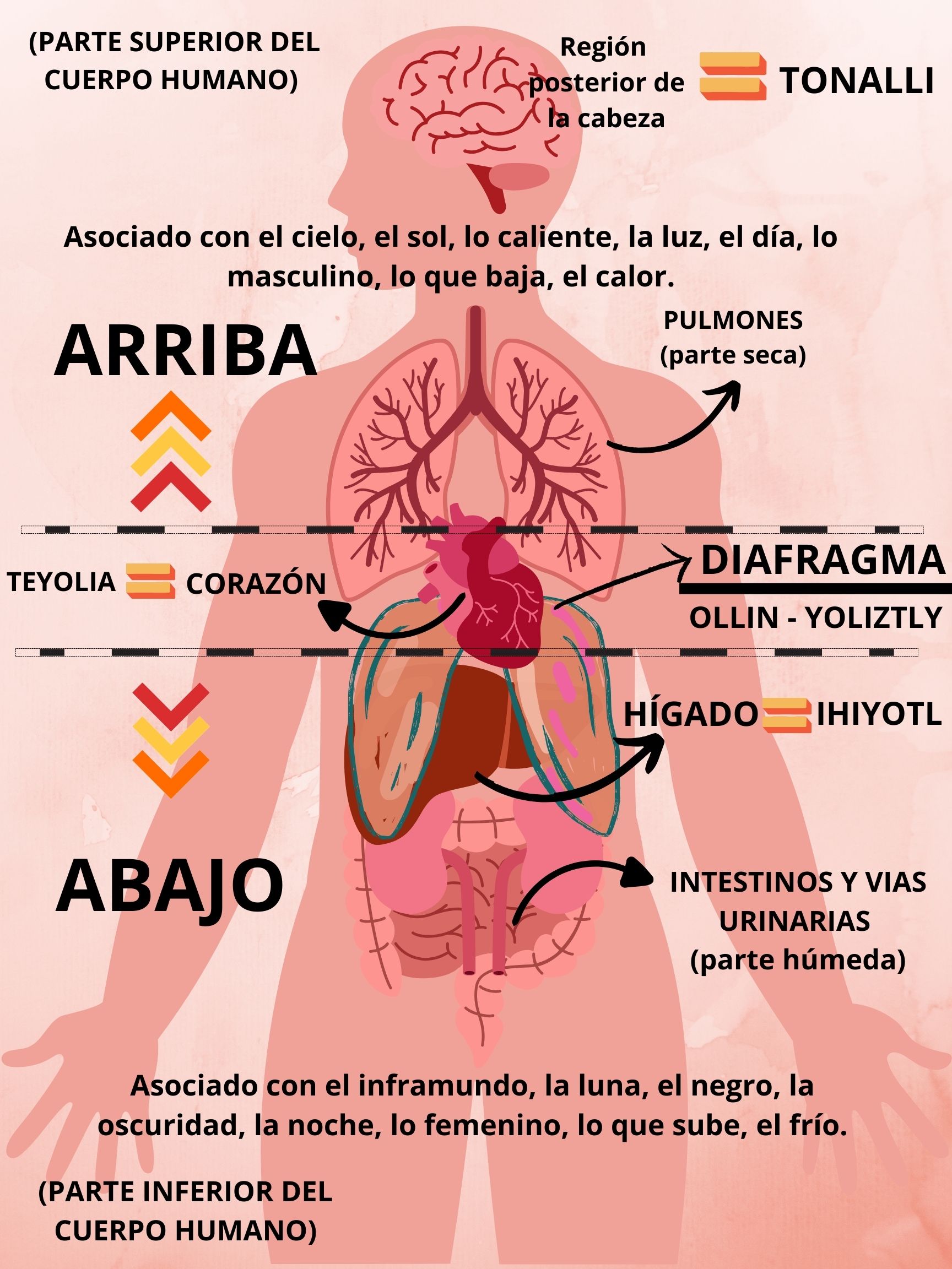 ILUSTRACIÓN 3